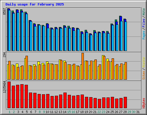 Daily usage for February 2025