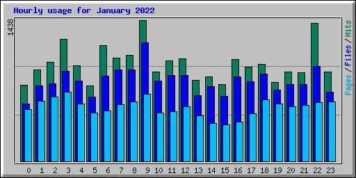 Hourly usage for January 2022