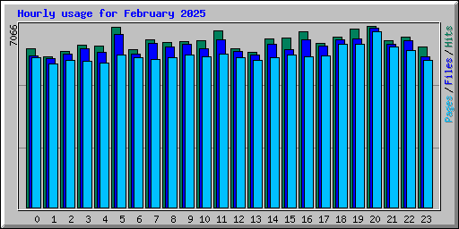 Hourly usage for February 2025