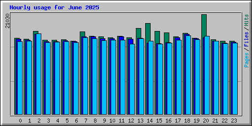 Hourly usage for June 2025