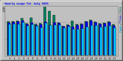 Hourly usage for July 2025