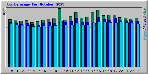 Hourly usage for October 2025