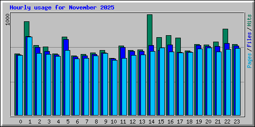 Hourly usage for November 2025