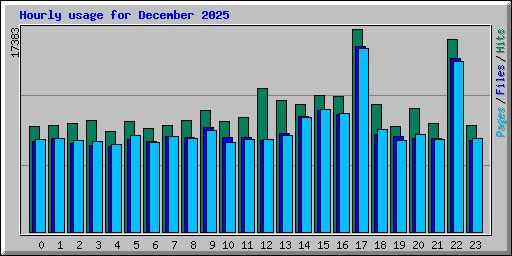Hourly usage for December 2025
