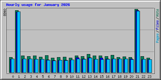 Hourly usage for January 2026