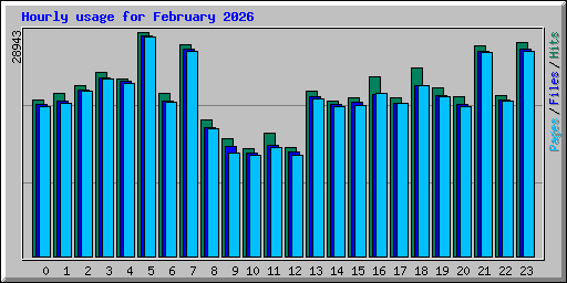 Hourly usage for February 2026