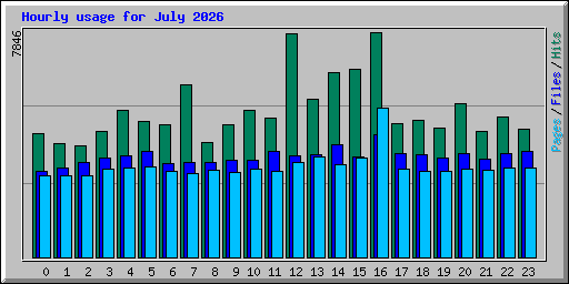 Hourly usage for July 2026