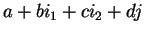 $a+bi_1+ci_2+dj$