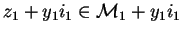 $z_1+y_1i_1\in\mathcal{M}_{1}+y_1i_1$